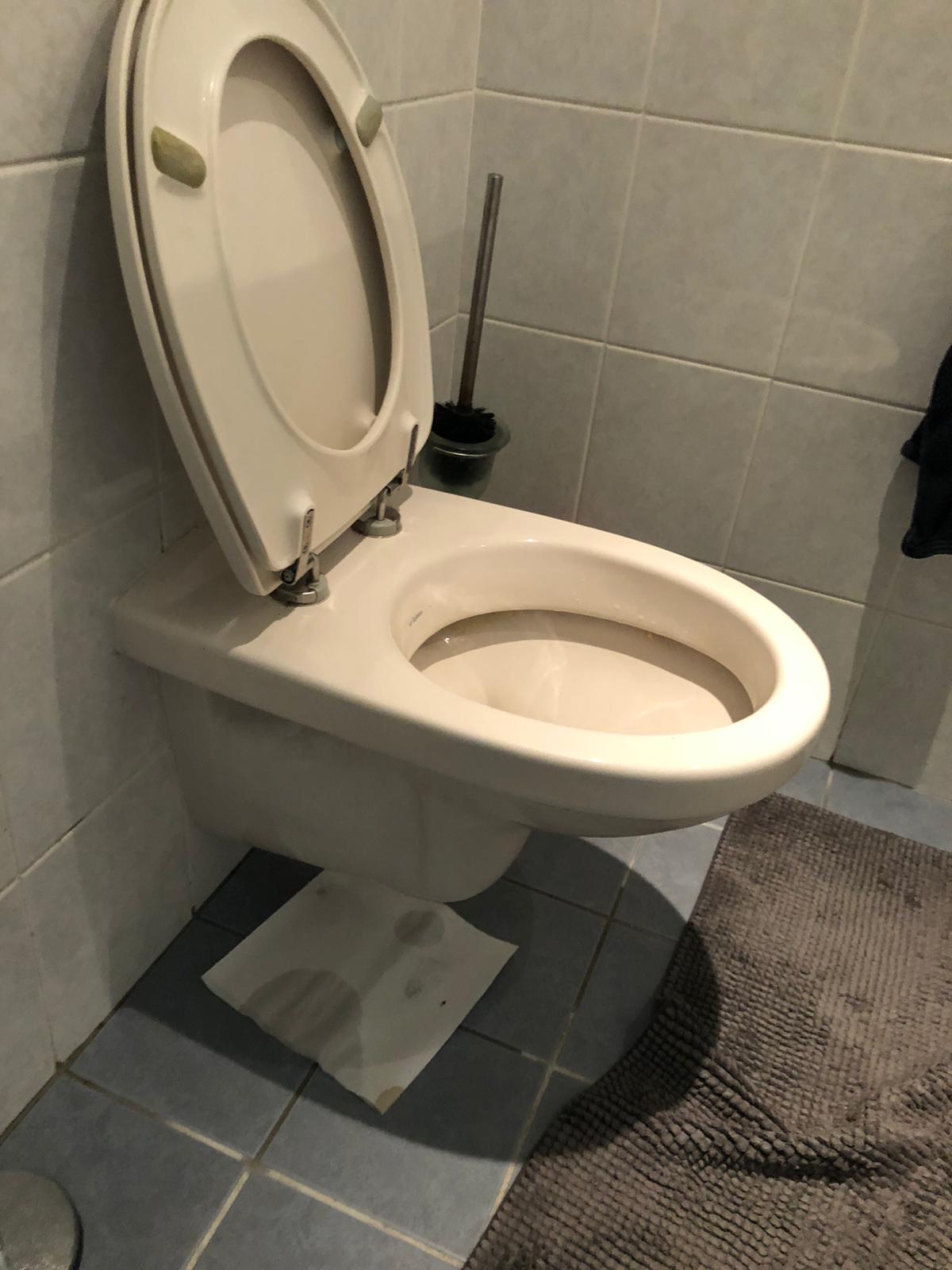 hangtoilet Neede